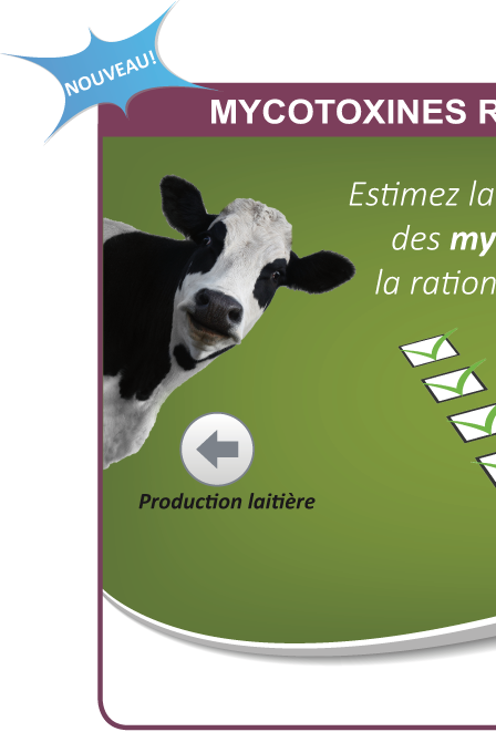 Mycotoxin Risk Evaluator for Dairy cows